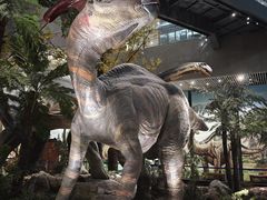 -湖南省地质博物馆