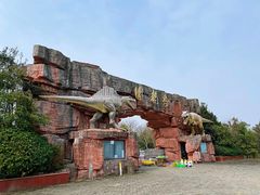 -上海海湾国家森林公园