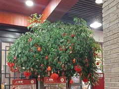 -香顺·客家菜(东坑店)