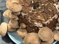 -捞王猪肚鸡火锅(金华义乌之心店)