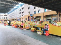 -三亚新鸿港水果一级批发市场