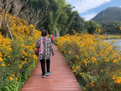 -广州市石门国家森林公园