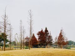 -眉山湿地公园(东坡区)