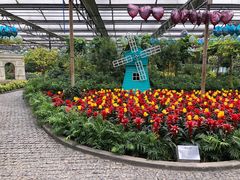 -南宫五洲植物乐园