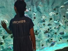 -威海华夏城景区