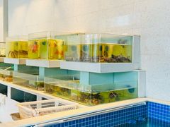 -至尊鲨鱼·原烹海鲜·新浙菜(拱宸桥店)