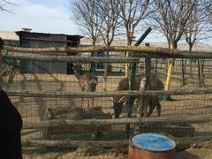 -北京拉斐特城堡酒店