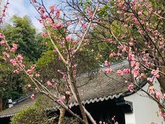 -汇龙潭