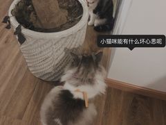 -月迷津渡(吾悦国际店)
