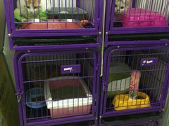 -中农大我爱我爱24h动物医院·中医针灸·猫专科·骨科医疗中心(双井店)