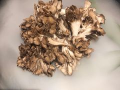 -煲宫猪肚鸡(晶品店)