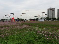-万顷园艺世界