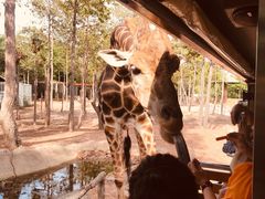 -清迈夜间动物园