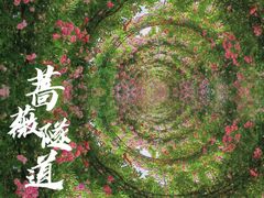 -广富林郊野公园