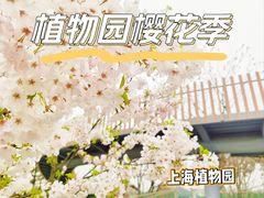 -上海植物园-4号门售票处