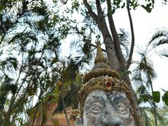 -西双版纳傣族园