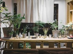 大堂-柴务处·柴犬主题狗咖