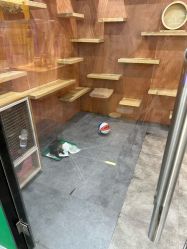 -神奇动物撸宠馆·羊驼·小浣熊·异宠(豫园店)