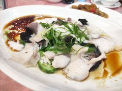油盐水蒸鲩鱼-顺德小厨·招牌无骨鱼(广百百货店)