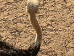 -鄂尔多斯野生动物园