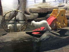 -梦幻海洋王国(吾悦广场张家港店)