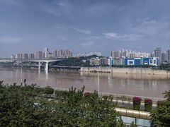 -李子坝梁山鸡(李子坝大鸡哥店)