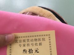 -北京观赏动物医院·24小时大型综合·猫专科·异宠专科