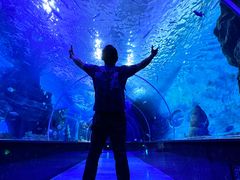 -多彩贵州城极地海洋世界
