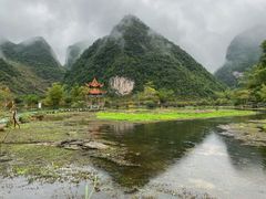 -靖西鹅泉风景区