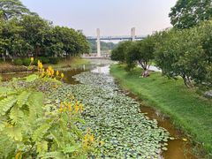 -东莞植物园