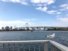 -台场海滨公园船码头