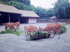 金沙鹿苑-金沙遗址博物馆