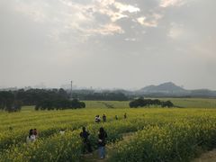 -光明小镇欢乐田园
