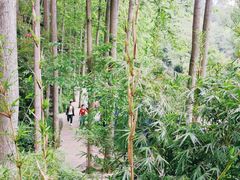-阿哈湖国家湿地公园
