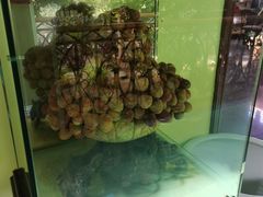 -天毓山庄·餐厅