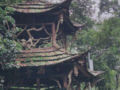 -青城山