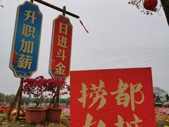 -盈香心动乐园