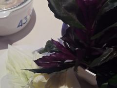 -蒙都43°9羊火锅·赤峰美食(宁城店)