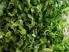 -岳各庄批发市场(西四环中路店)