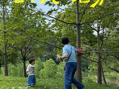 -云溪植物园