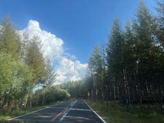 -御道口草原森林风景区
