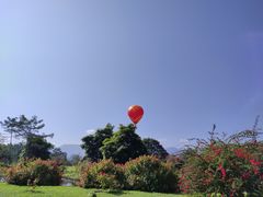 -中国科学院西双版纳热带植物园