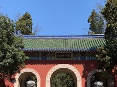 -灵谷景区