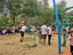 -合肥滨湖国家森林公园