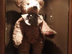 -济州岛泰迪熊博物馆