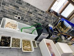 -阿杰臻选海鲜饭店(普陀山店)