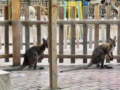 -水上乐园·欢乐世界