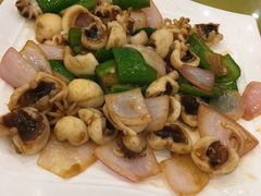 -鸿达渔港