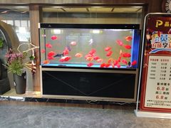 -臻享养生·SPA·影院式足道(汇臻店)
