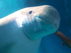 -福州罗源湾海洋世界旅游区